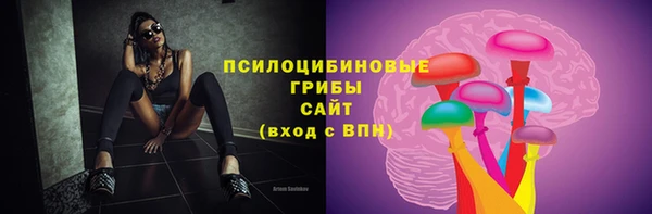 ECSTASY Михайловск